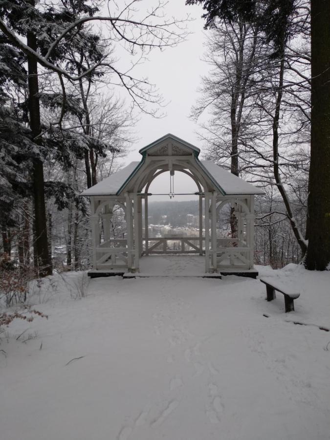 Apartman Friedrichsruh Apartment Marianske Lazne Luaran gambar