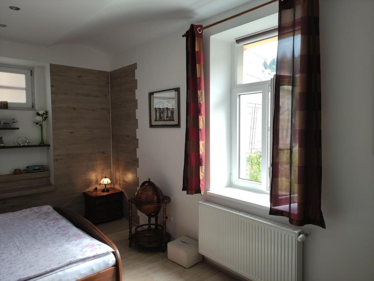 Apartman Friedrichsruh Apartment Marianske Lazne Luaran gambar