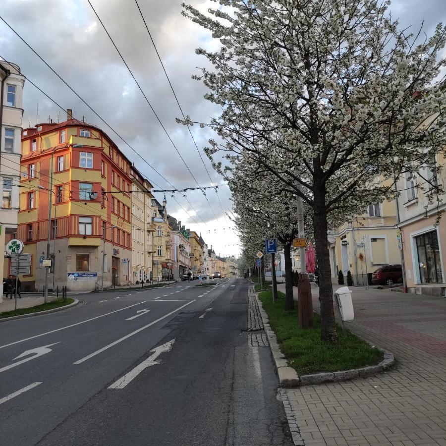 Apartman Friedrichsruh Apartment Marianske Lazne Luaran gambar