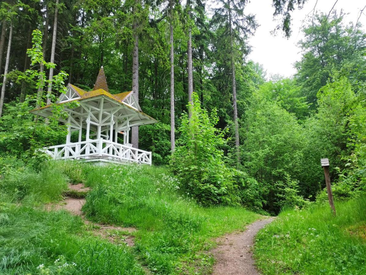 Apartman Friedrichsruh Apartment Marianske Lazne Luaran gambar