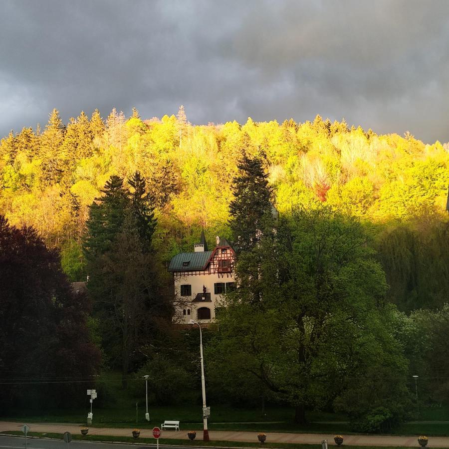 Apartman Friedrichsruh Apartment Marianske Lazne Luaran gambar